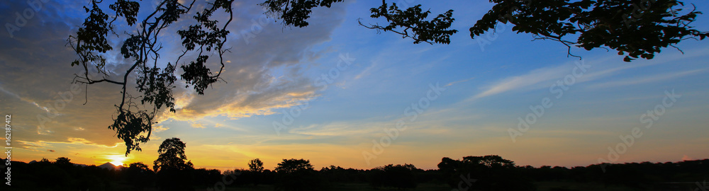 Obraz premium Panorama sunset beautiful colorful landscape and silhouette tree mountain in sky twilight time