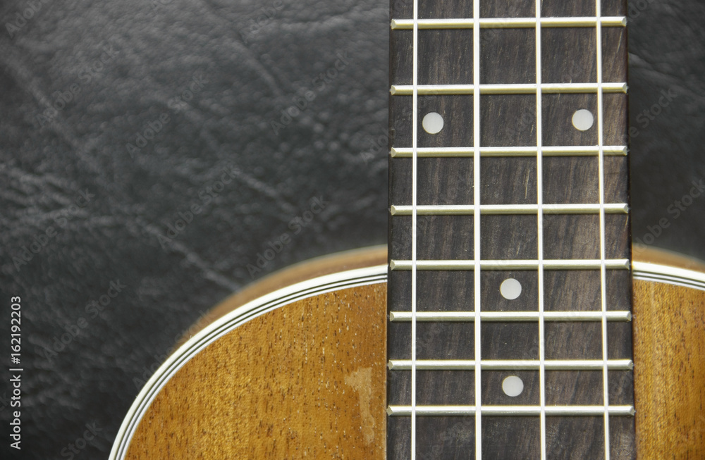 Obraz premium wood ukulele