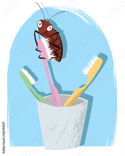 cockroach on toothbrush