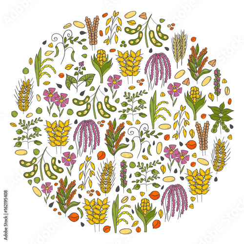 Vector hand drawn porridge cereals background