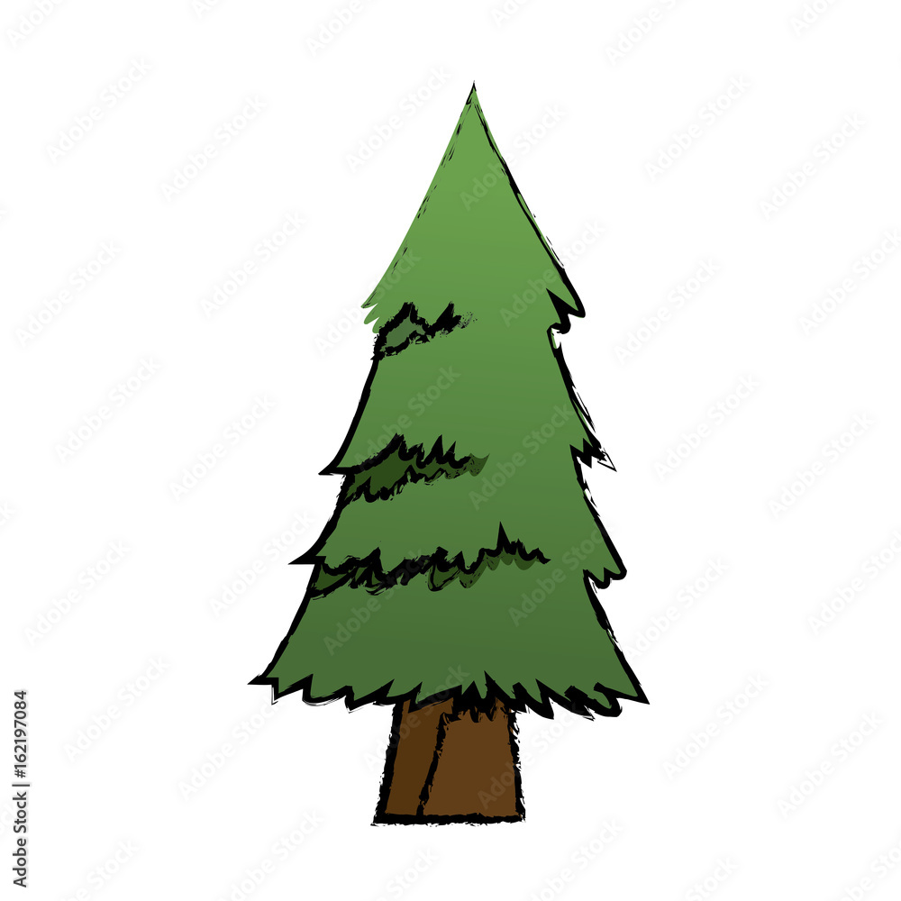 Fototapeta premium cartoon pine tree natural plant conifer image