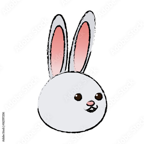 cute rabbit cartoon sweet animal funny