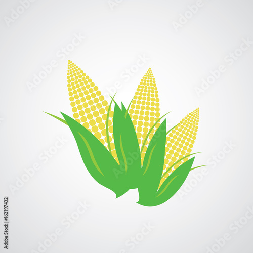 corn on the cob