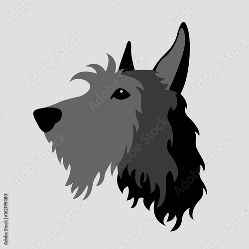 terrier  dog  head  face  vector illustration style Flat cartoon