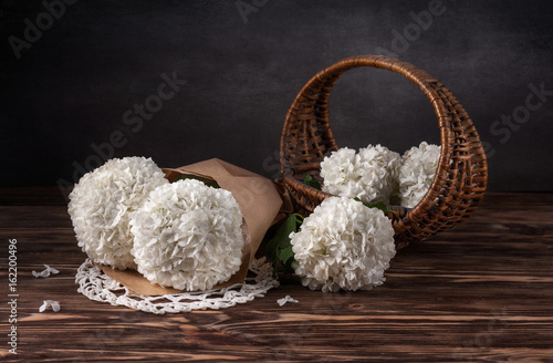 Viburum white bals photo