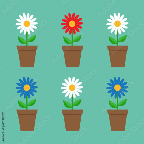 Fototapeta Naklejka Na Ścianę i Meble -  Daisy chamomile in pot. Cute flower plant collection. Love card. White red blue camomile icon set Growing concept. Flat design. Green background. Isolated.