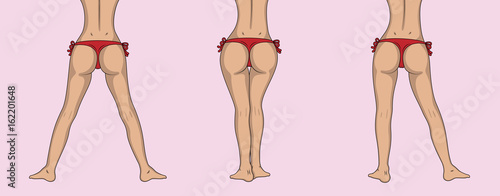 Attractive female ass and legs in different poses. Woman's buttocks in bikini. Sexy girl butt sketch . Vector illustration.