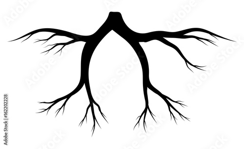 root silhouette vector symbol icon design.