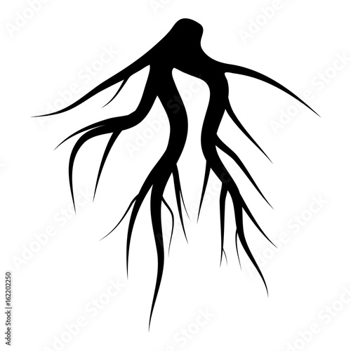 root silhouette vector symbol icon design.