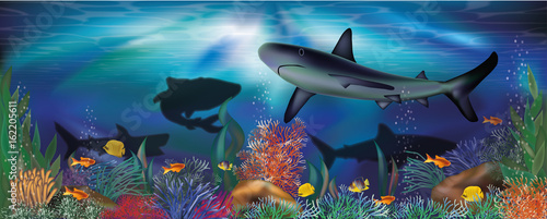 Underwater tropical wallpaper with Shark, vector illustration