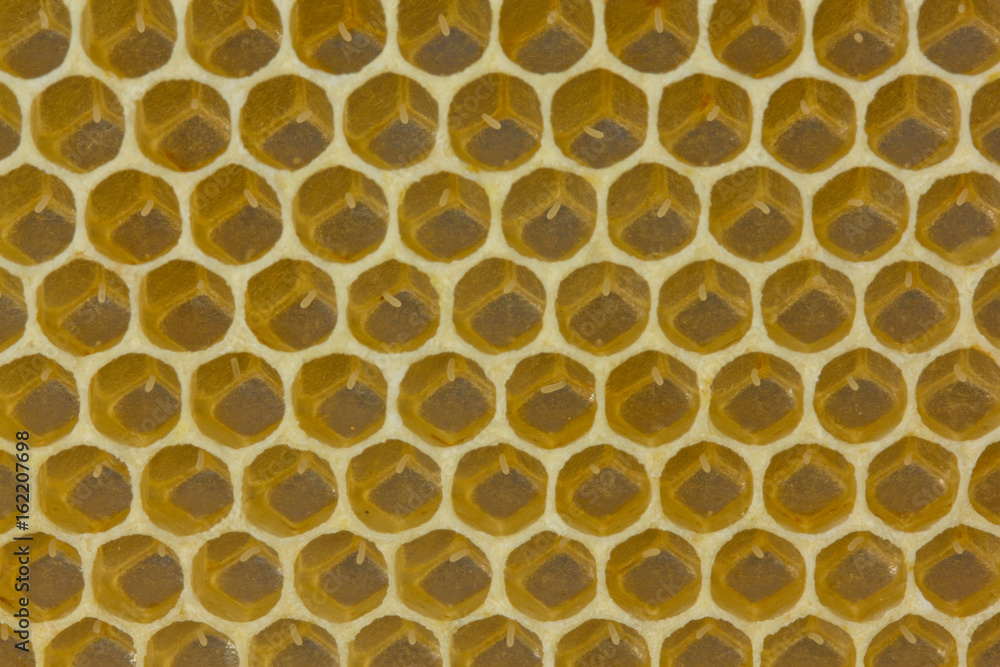Eggs in honeycombs