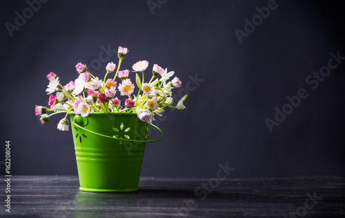 Fototapeta Naklejka Na Ścianę i Meble -  Daisy flowers in a green pot
