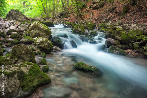 Mountain river in forest and mountain terrain. Crimea  the Grand Canyon. Nature composition.