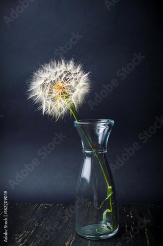 Fototapeta Naklejka Na Ścianę i Meble -  Dried dandelion in a glass jar