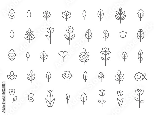 Leaf and Flower Line Icon Set, Flat, Lines, Vector