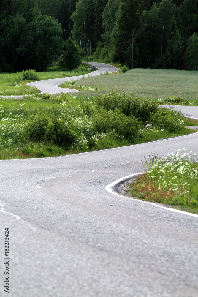 Curvy Road Curvy Road