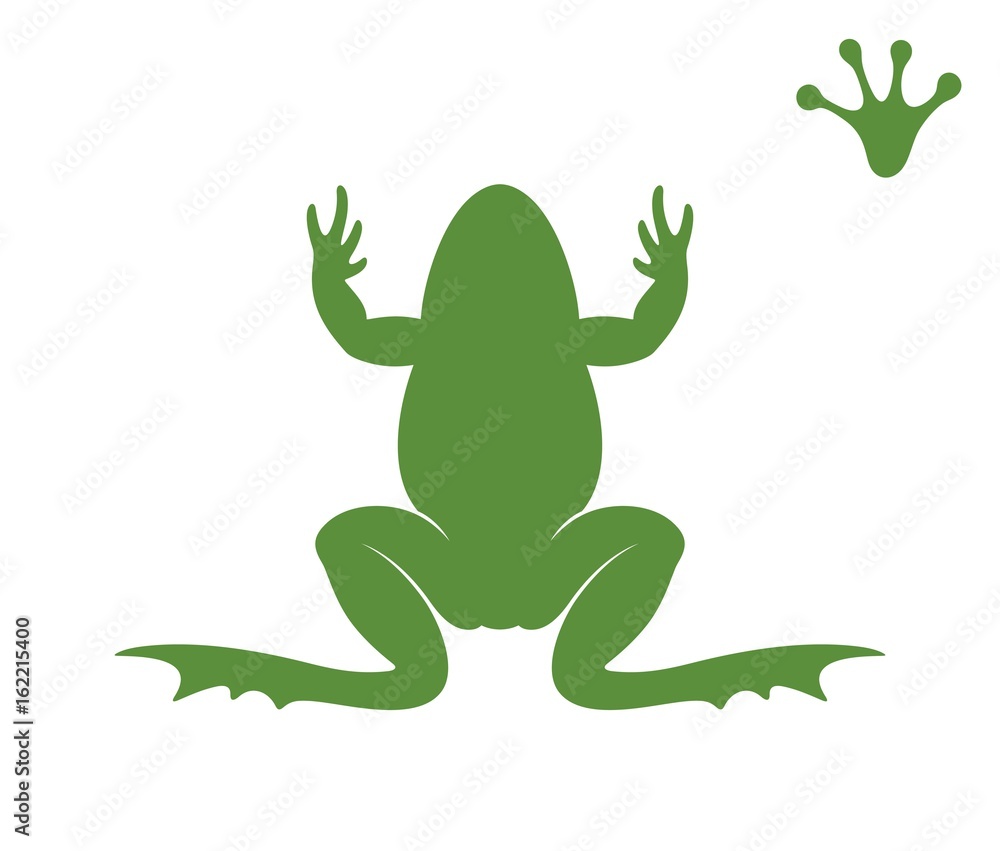 Fototapeta premium Frog silhouette. Abstract frog on white background