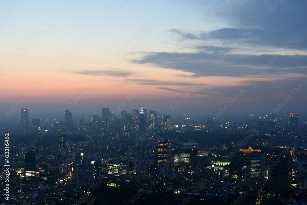 日本の東京都市景観・夜景（東京・新宿の高層ビル群）