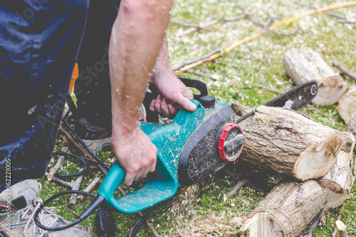 Lumberjack cuts a tree in the garden