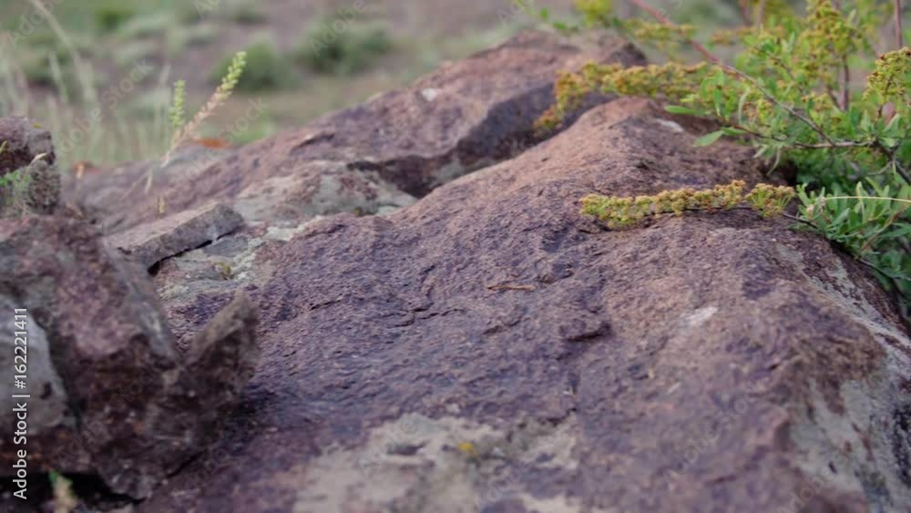 The texture of the stones covered with moss in the mountains, the movement of the camera with the defocus. 4k The texture of the stones covered with moss in the mountains, the movement of the camera with the defocus. 4k