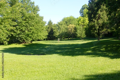 The frisbee golf course in the park.