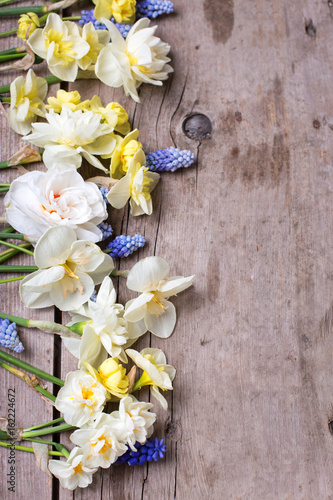 Fototapeta Naklejka Na Ścianę i Meble -  Row of colorful spring tulips, narcissus, muscaries flowers on rustic  wooden background.