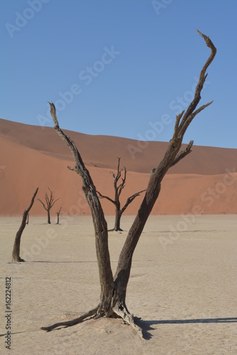 Deadvlei Namibia