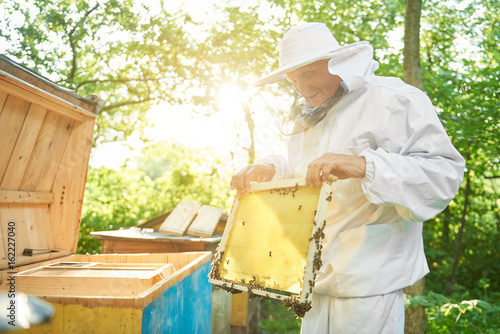 Shot of two professional beekeepers harvesting honey at an apiary working with bees.