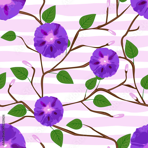 Seamless background design with purple morning glory  illustration.