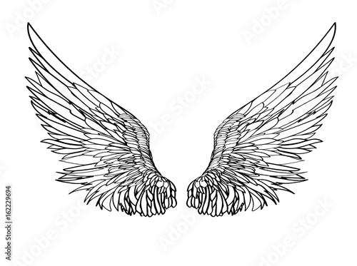 Wings. Vector illustration on white background. Black and white style