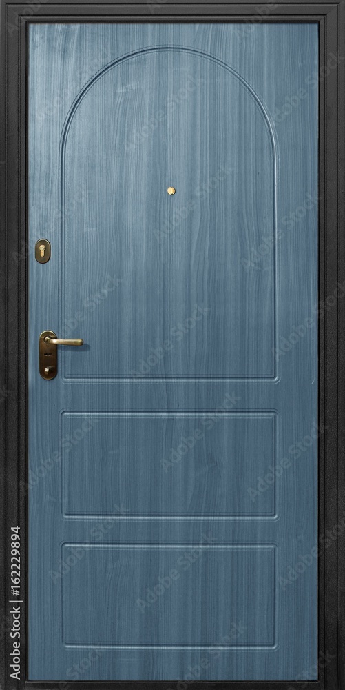Entrance door (metal door) Entrance door (metal door)