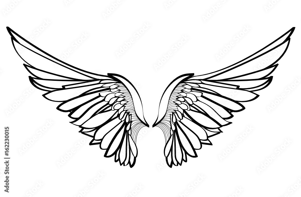 Obraz premium Wings. Vector illustration on white background. Black and white style 