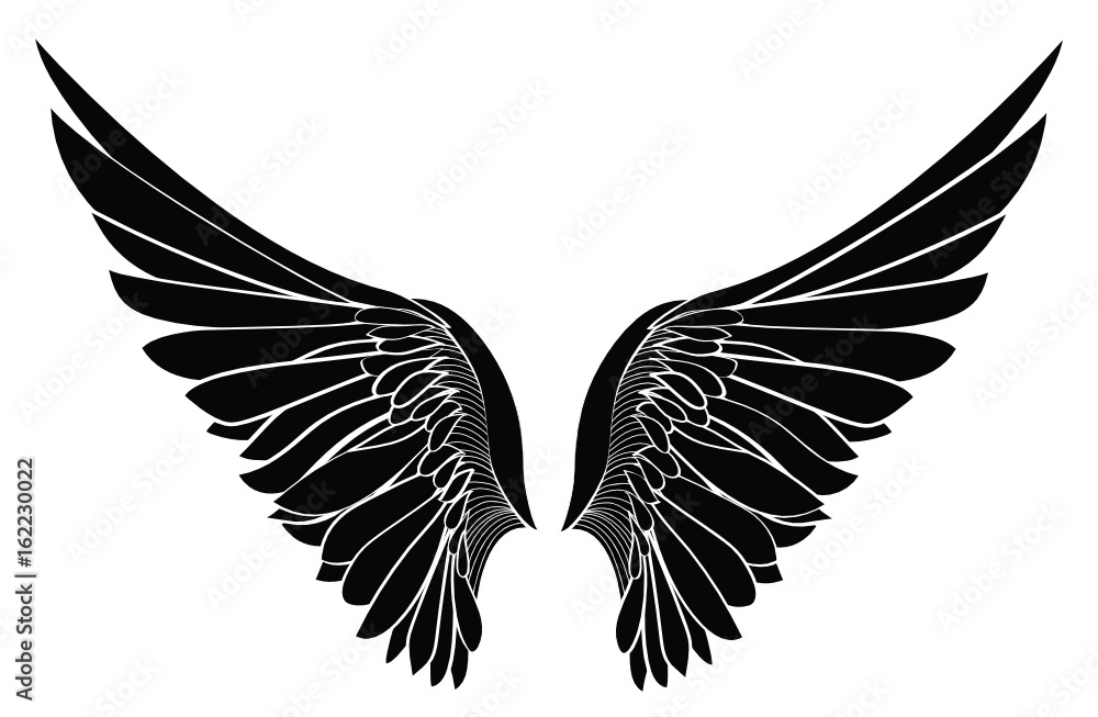 Obraz premium Wings. Vector illustration on white background. Black and white style 