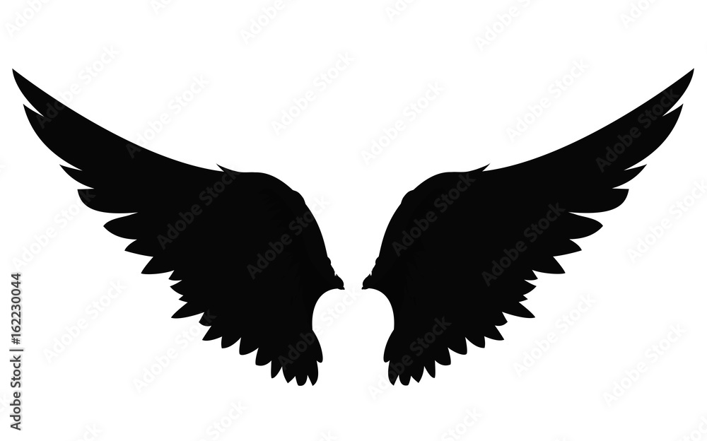 Obraz premium Wings. Vector illustration on white background. Black and white style