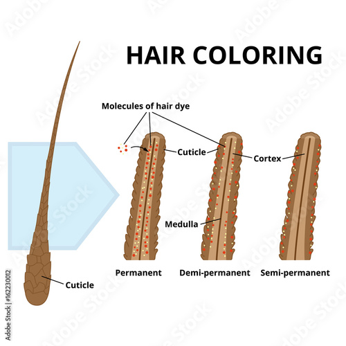 Cuticle of hair close-up