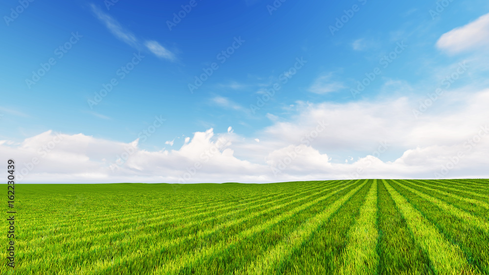 Beatiful green field with cloudy sky 3D render