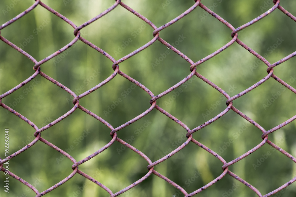 Fototapeta premium Wire fence In the shape of a rhomb