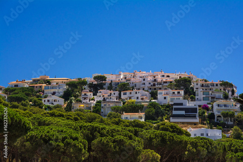 White houses and pines on Montgo hill