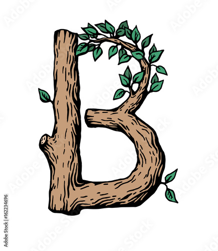 Colored engraving Letter B made of wood with leaves on the white background