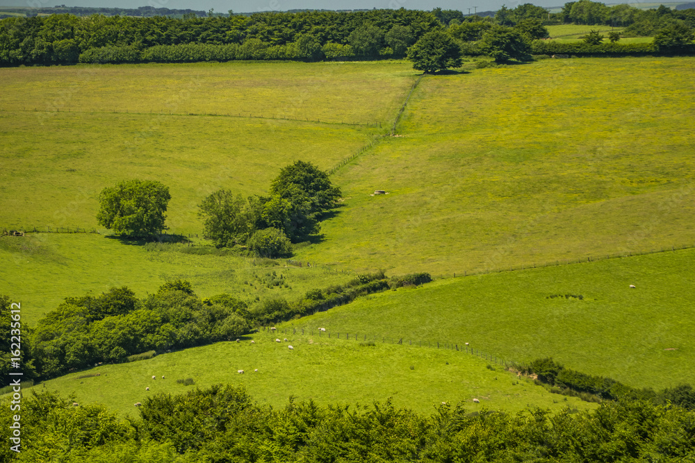 Obraz premium exmoor national park UK