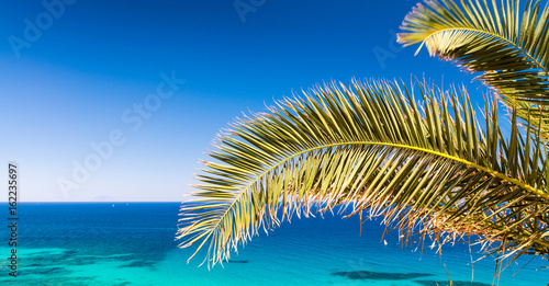 Palm branch against stunning crystal clear sea waters  holiday concept
