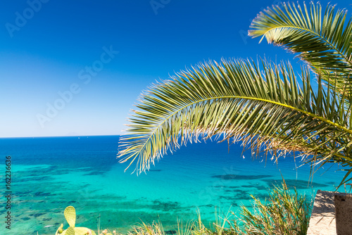 Fototapeta Naklejka Na Ścianę i Meble -  Palm branch against stunning crystal clear sea waters, holiday concept