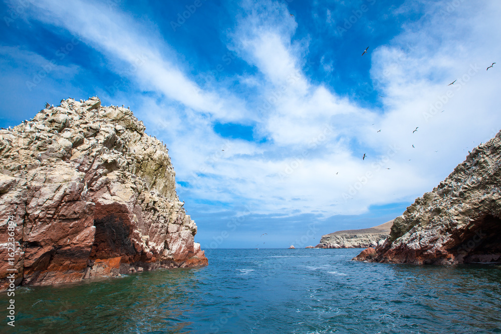 Birds in Ballestas Island (Paracas/Pisco, Peru)