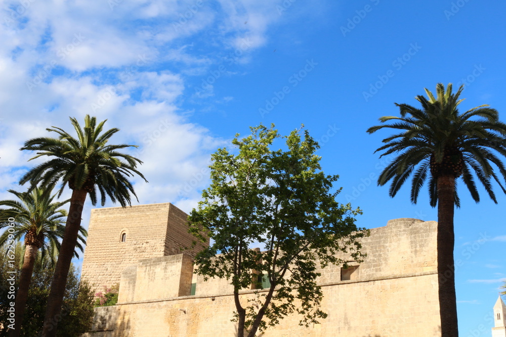Castle of Bari in Italy with palm trees and blue sky