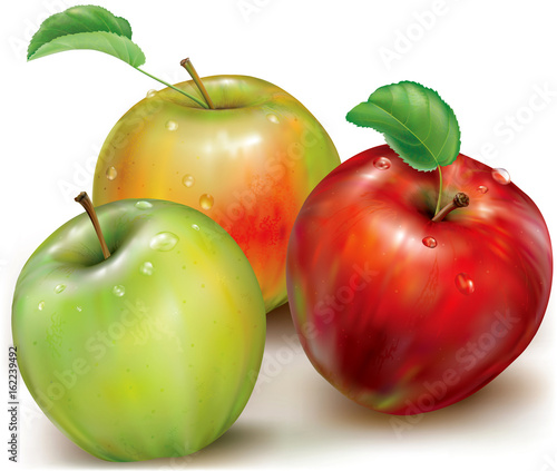 Three vector of apples on white background