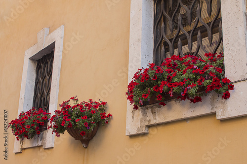 Flowers in apartment windows in cute rome building quiant and romantic.