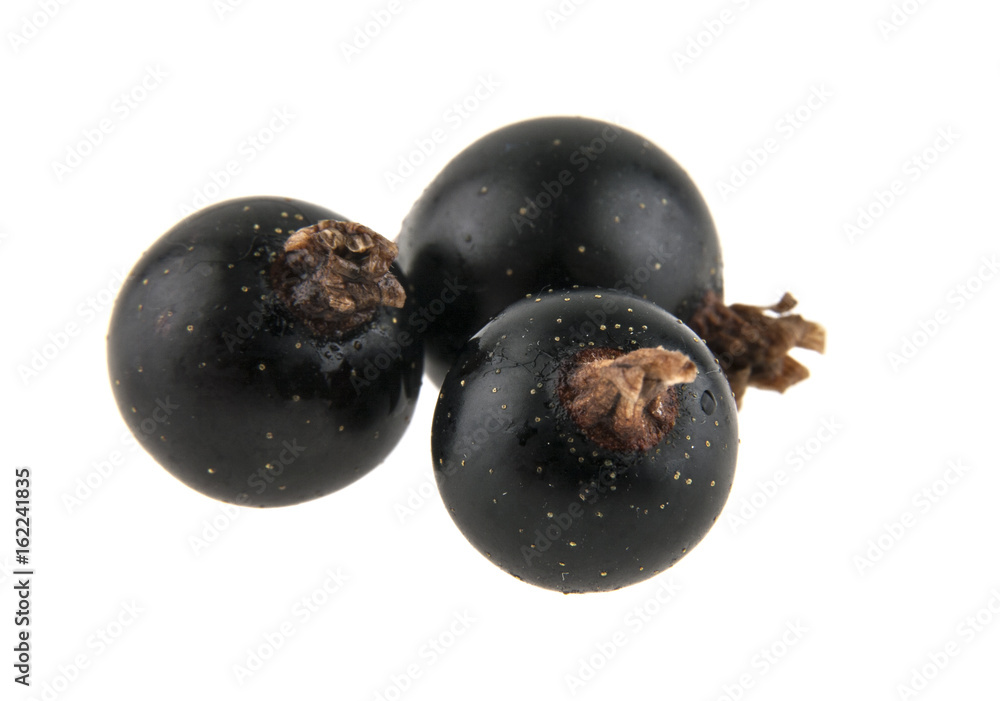 Black currant isolated on white background Black currant isolated on white background