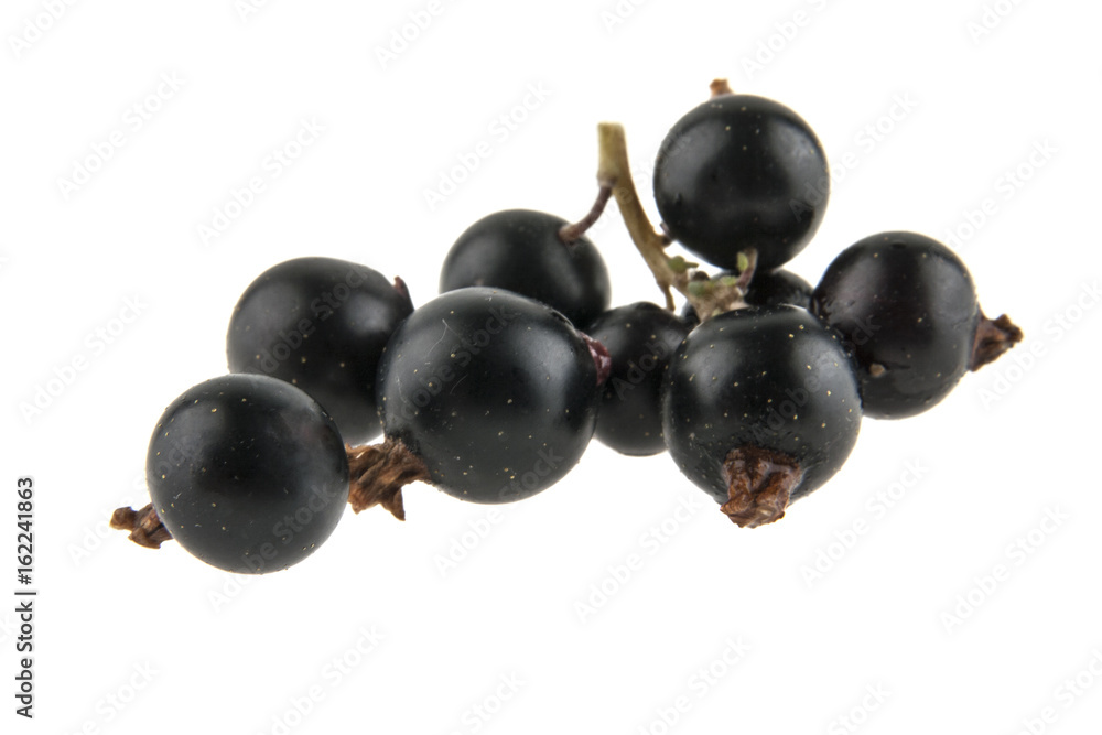 Black currant isolated on white background Black currant isolated on white background
