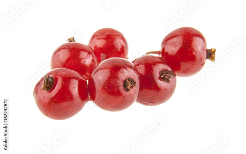 Red currant isolated on white background