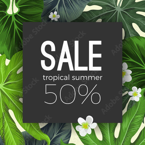 Special summer sale card with exotic plants on background